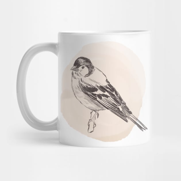 Hand drawn illustration of chaffinch bird by Lshvsk